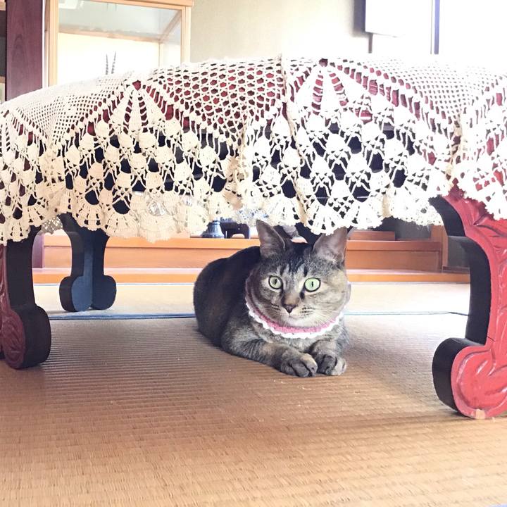 0b787dbe def2 4adc b719 adc9ca10a151 1618379030512