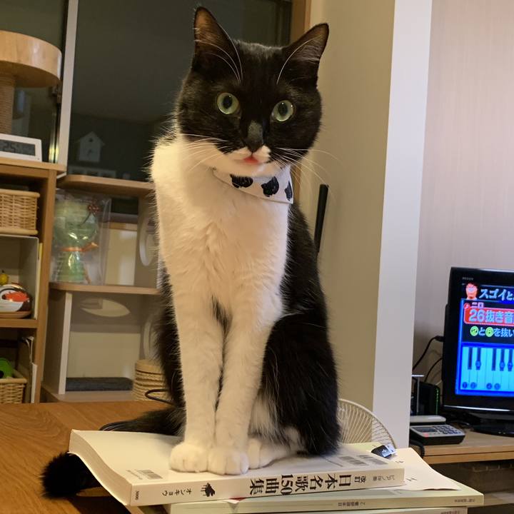 0b7881a2 2236 4454 b2a6 59426d09a64f 1568985029726