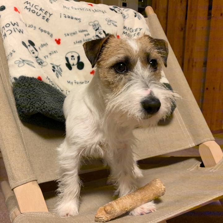 0b78ee15 e930 42fc 8023 b61d9b85ec25 1579264570248