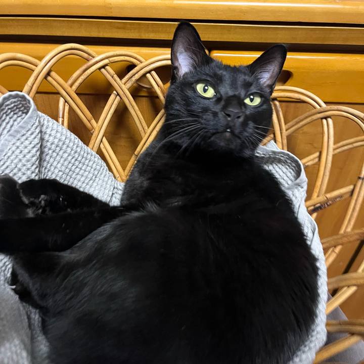 0b791cf9 3f3a 492c a692 838e102a9b34 1675469902783