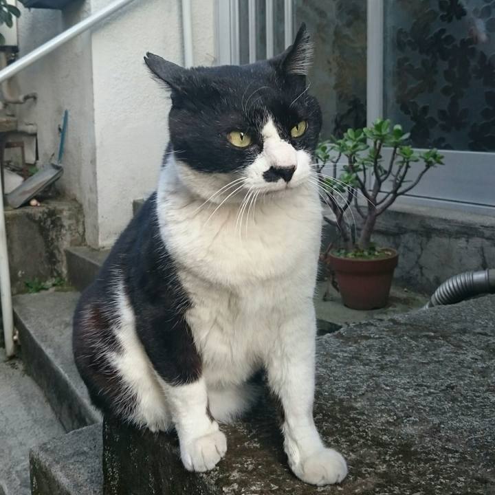 0b79263b cd7d 4e30 94f8 d341c99bd662 1522483880666