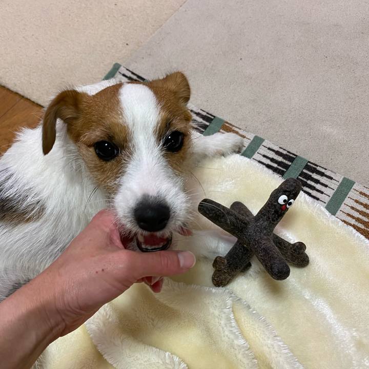 0b792fb1 9c18 4a09 894c 2612614c490d 1627908493605