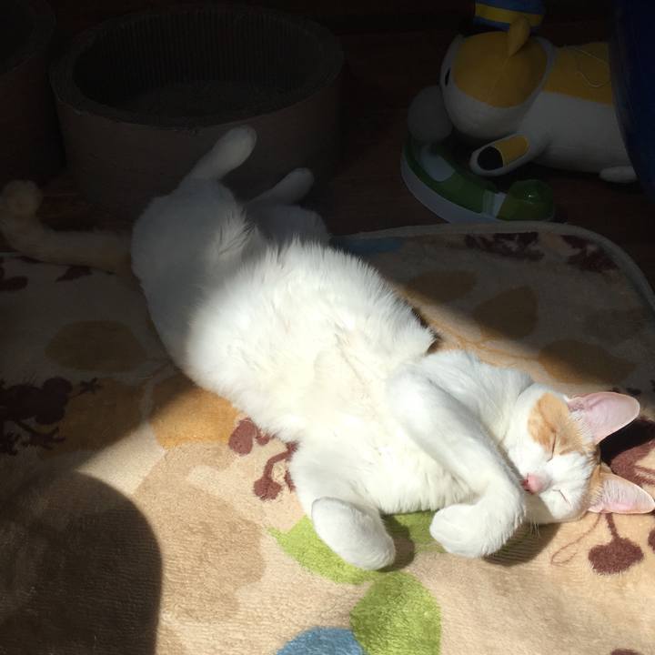 0b7956d7 8c49 423d 920b 0a744996bd02 1521026912907