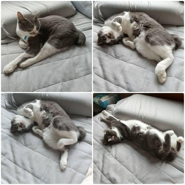 0b79ae51 980b 436d b8c4 7993c558733d 1622957463199