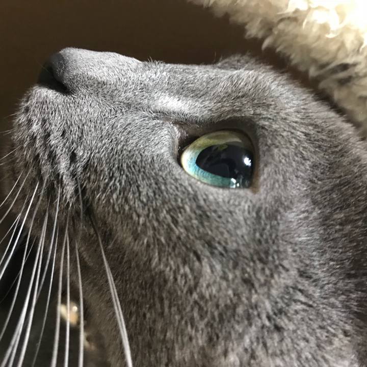 0b79b08a c7fe 42a8 88a1 fea243d96d3a 1513984301060