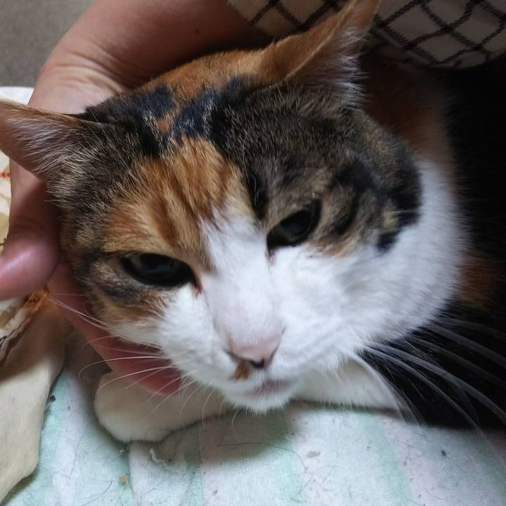 0b79c9c9 821e 40f3 94de 7bc8650cdc42 1558561797552