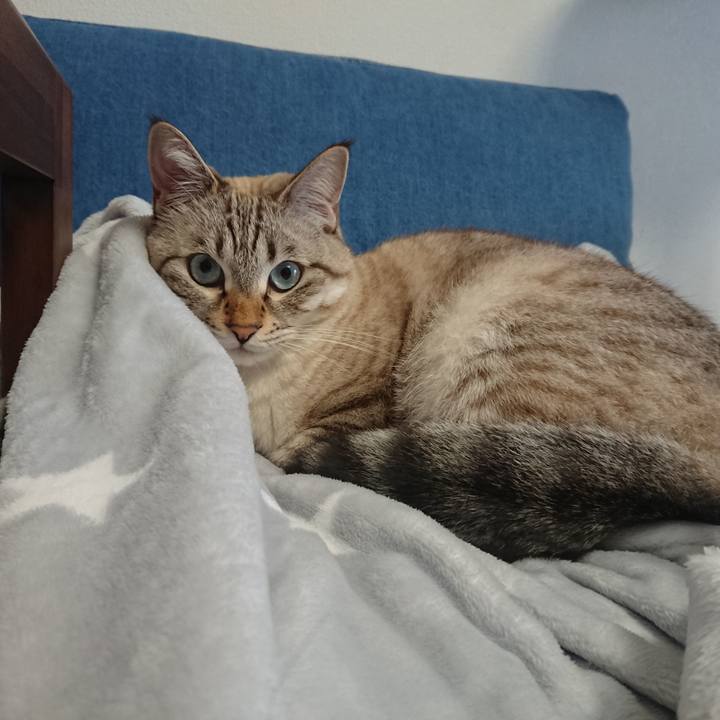 0b79d096 9f11 4f3c 92e5 68d68181e223 1540688786127