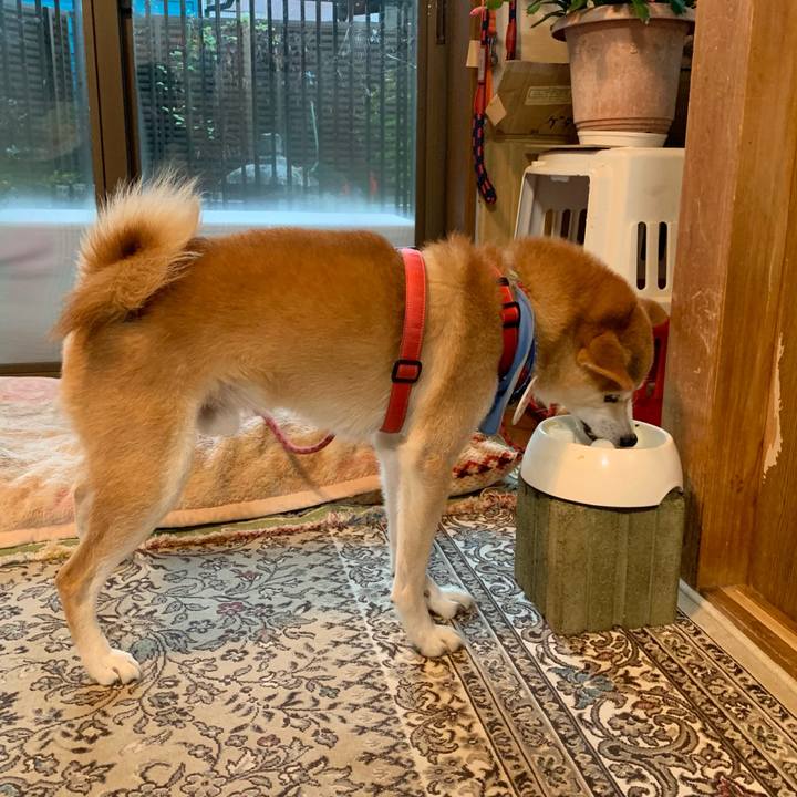 0b7a251e 3d6c 4502 9434 278596bf787b 1636969855911