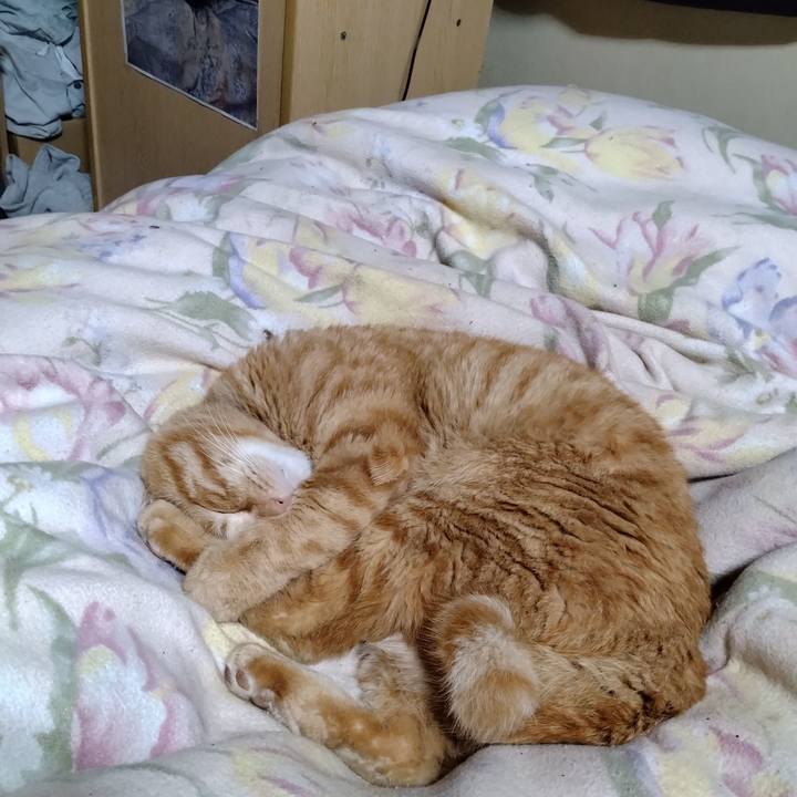 0b7a4ccb 0352 4b1d 8a3c cec273fc81c9 1672057520914