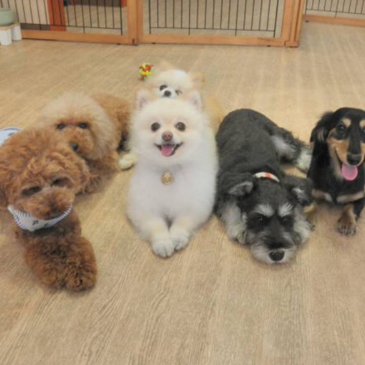 0b7a5ac8 cb38 4675 861b 461515e9ee0d 1560986790586