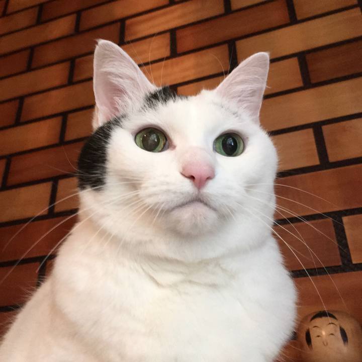 0b7a9610 cb4b 4786 ae2b fc0b724bdd81 1578384170222