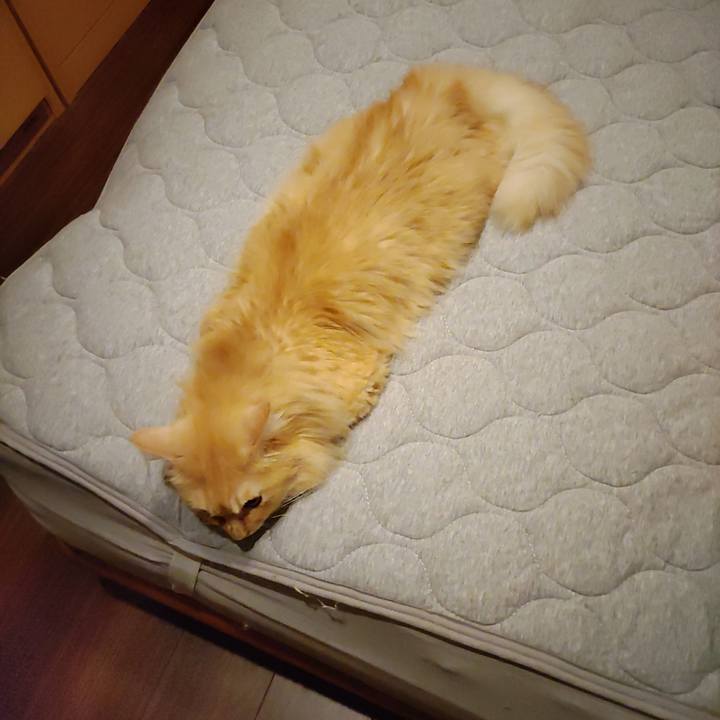 0b7ad3f0 2d2f 48df 905c 771b91b5cfd0 1756893934369