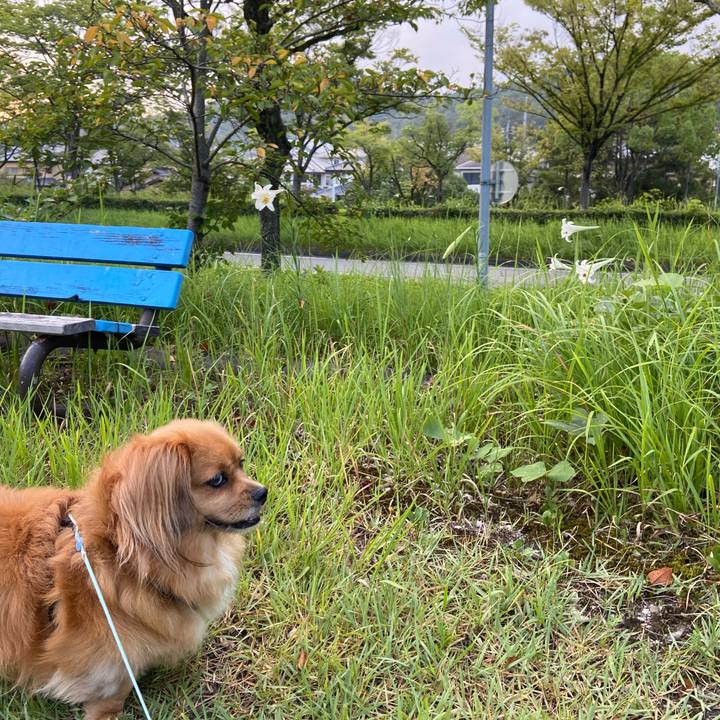 0b7ad3f9 992b 4edb 9a8d e62b69685735 1597875549411