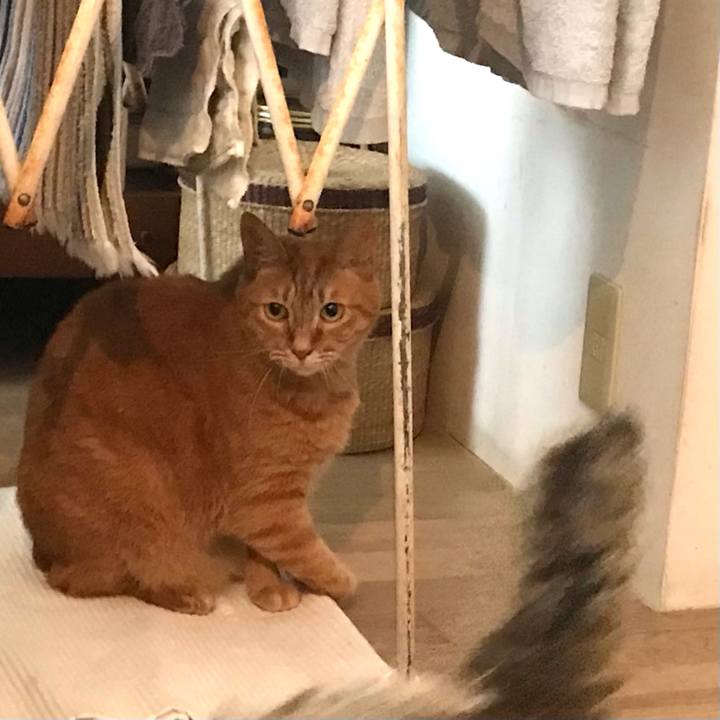 0b7ae21c 1989 4bb4 b64b 77e63b0faf93 1621645702296