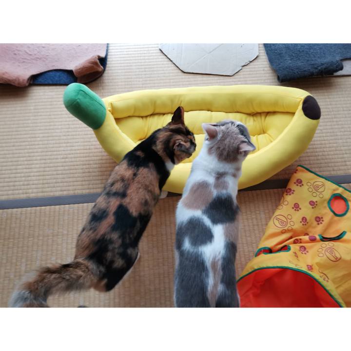 0b7aedba 9660 48e0 befb 720b12127139 1658288956295