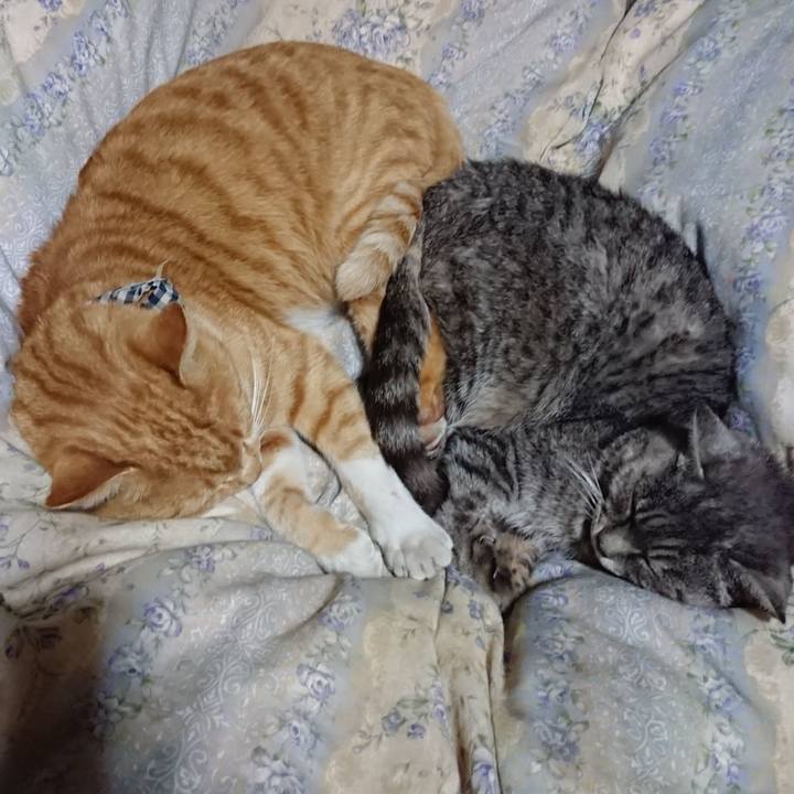 0b7af95d 4673 4156 bd0c 92858b378a27 1573302797388