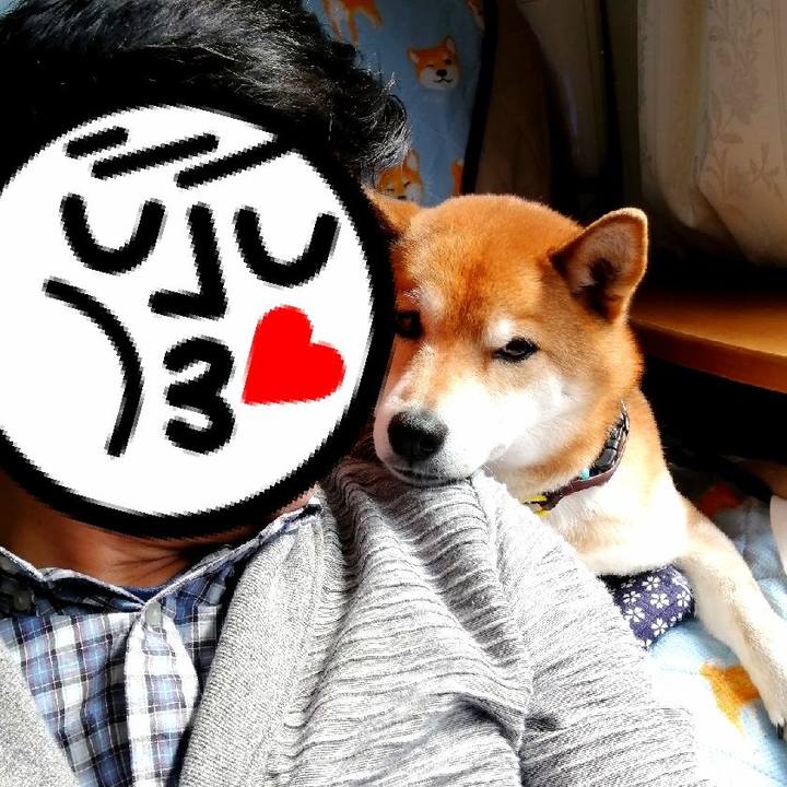 0b7afbb3 2f1d 42bb a8e6 e11e18d6f17e 1645326996729