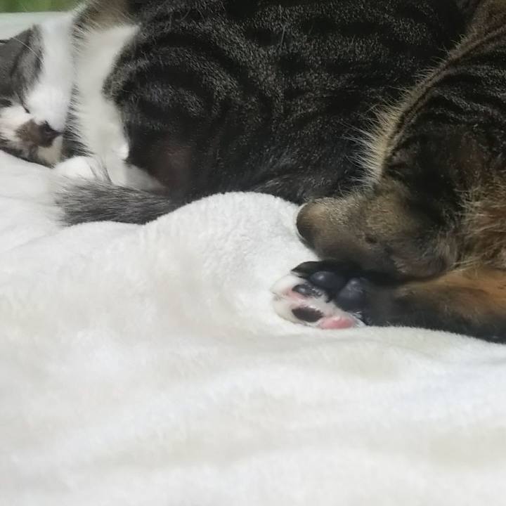 0b7b3948 cdb8 4109 bda2 d71aa26c800b 1616584710739