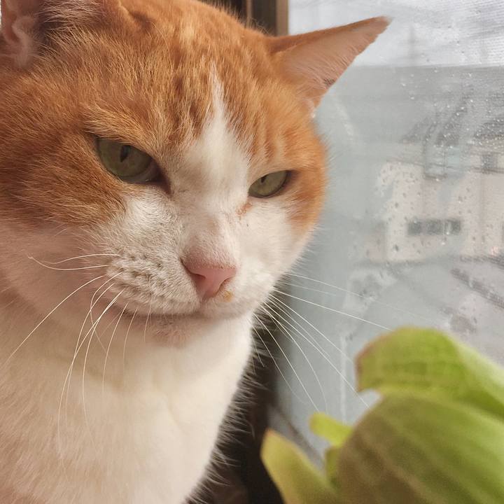 0b7b788a 58e7 45c9 8784 b063acb9f088 1585627896368