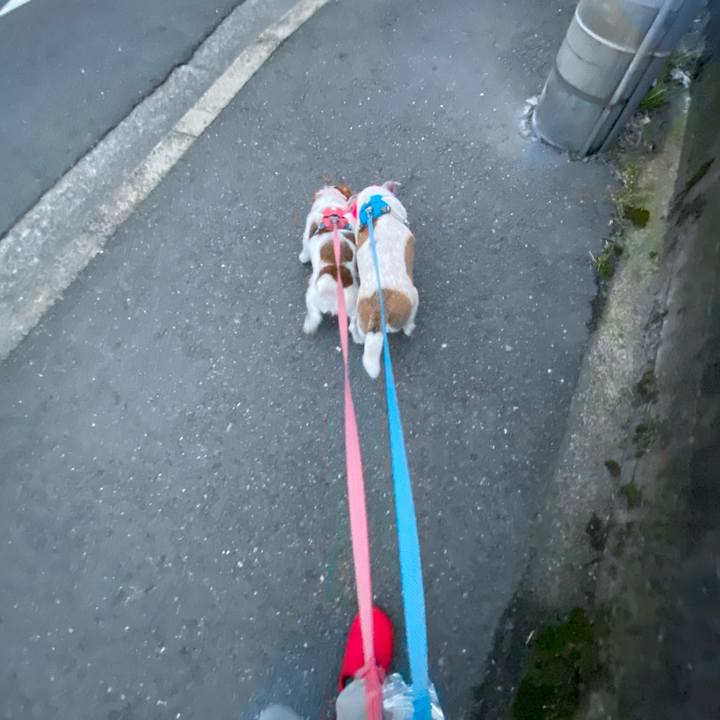 0b7b8735 881d 4aa0 8585 7ec4beb2c6f9 1708123611659