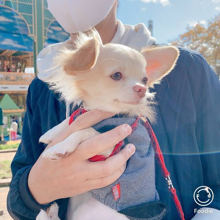 0b7b9543 d941 416b b6a9 0d1d5830bb16 1604379984547