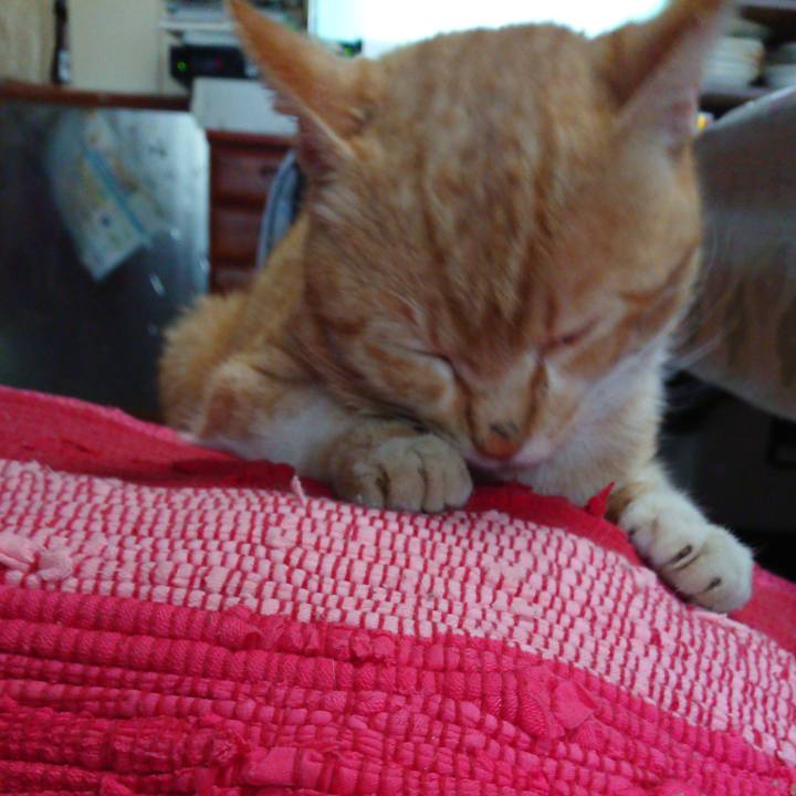 0b7be0c9 b628 413b a9b5 e35c039486f7 1555113247348