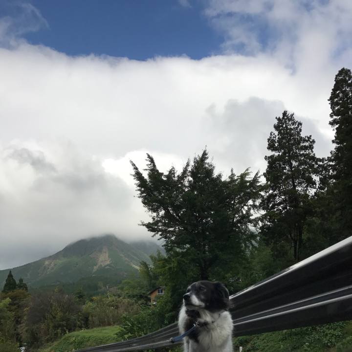 0b7c18c0 a6e0 410c bdbf bc53222db134 1508736540668