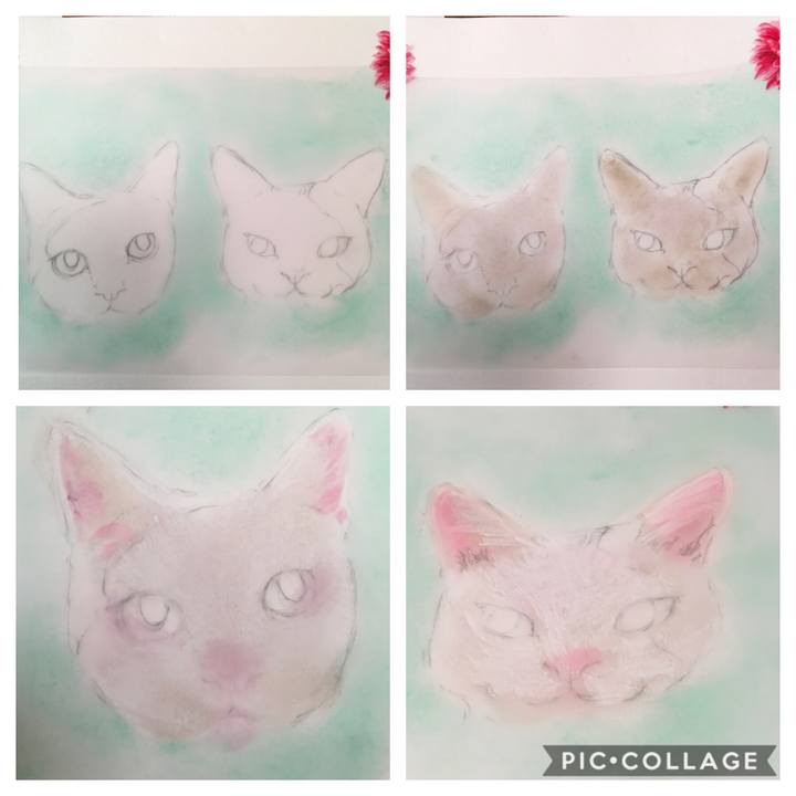 0b7c1ab2 e9fd 4eeb b33b 6f52a2145f33 1608641032163