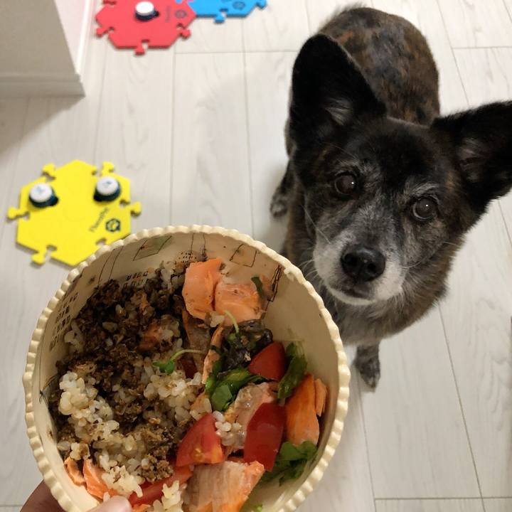 0b7c2dee 289c 42f2 a253 b1e4c78ef43f 1670851387179