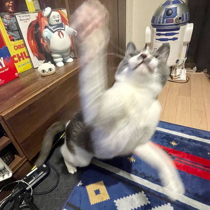 0b7c306a 6b46 4e38 ab4a 8e0b93e97e99 1651402371170