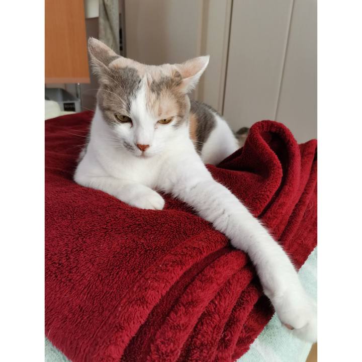 0b7c43f3 a536 4b7f b161 a55d1af066e5 1633493666395