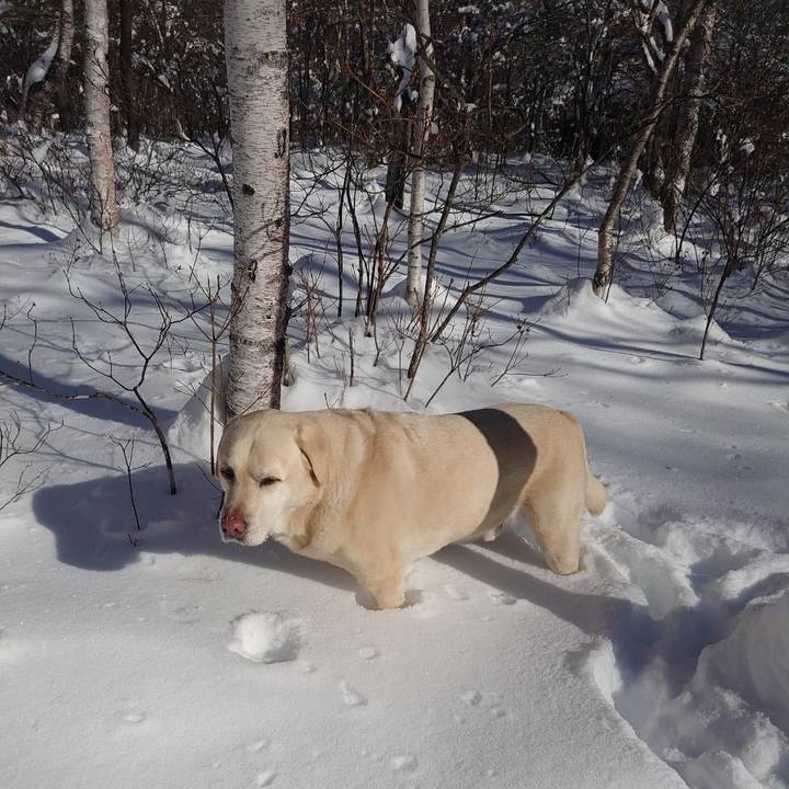 0b7cb8ed b5ea 4f66 8e58 be2647c19dea 1707651862557