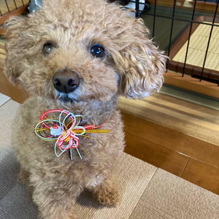 0b7ce0ea c60f 49bd b335 5b144d094e1c 1641889221488