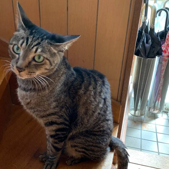 0b7cf908 ed55 46f6 b0d5 6b2ba7aa512a 1558400050937