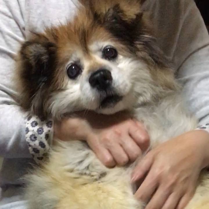 0b7d0525 7579 4c70 ac87 e43ed6359ad9 1575377386485