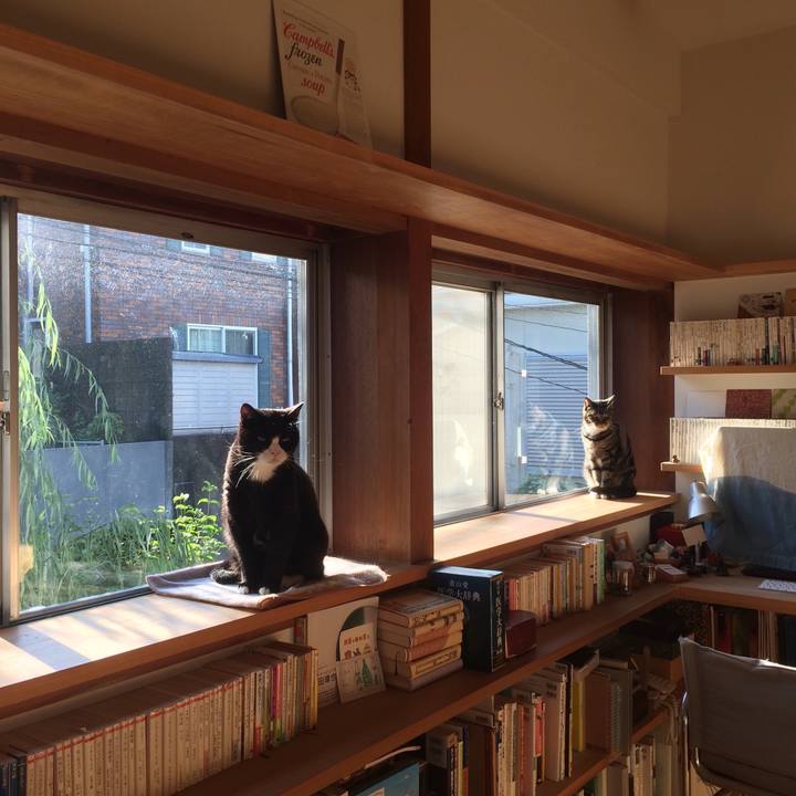 0b7d069d 268f 40d5 a63c cae997b402d1 1538093946287