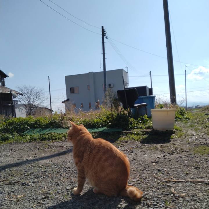 0b7d3d5b 76a2 49fe b8fc f5f1e7b34cd4 1668136159435