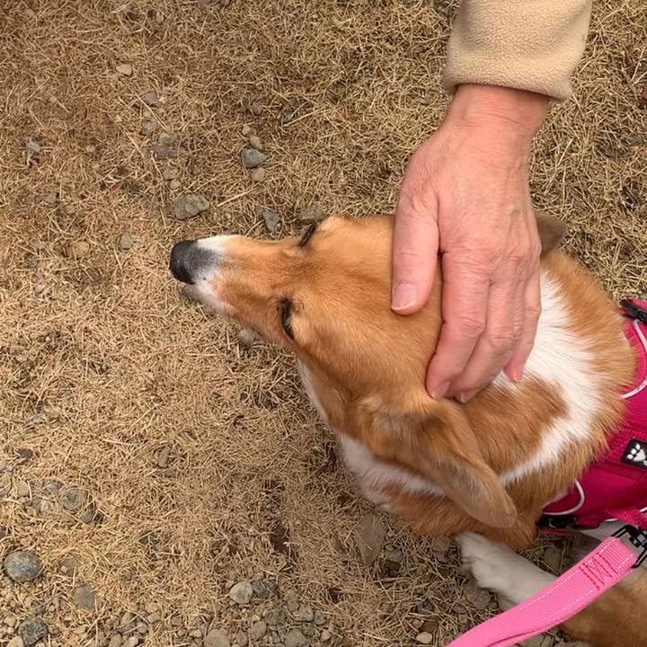 0b7d42b0 9f96 4892 b656 a16f64bb1509 1644919202967