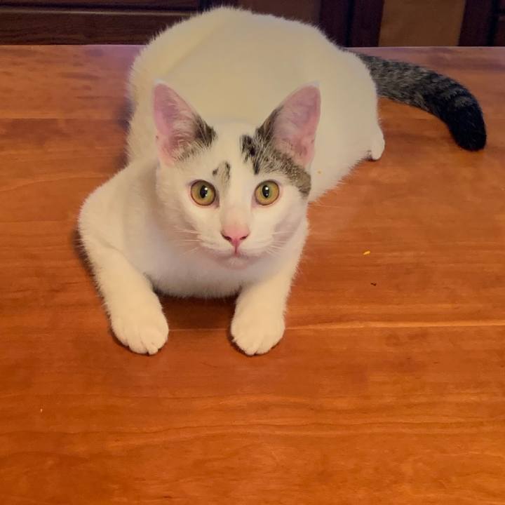 0b7d6a9a e1ab 43f8 9baf 3b1edddd76f4 1613437340678