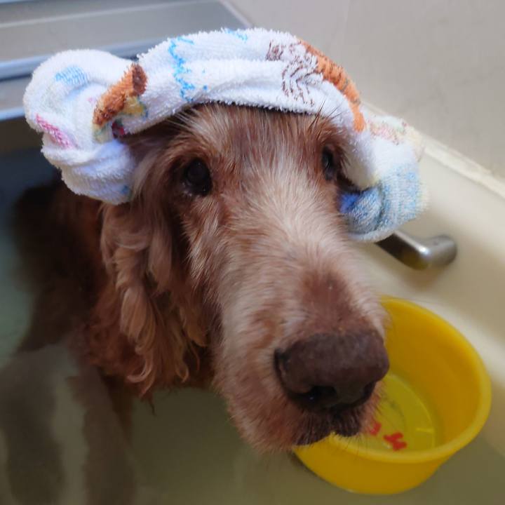 0b7d889c 5326 40bc a9ec 121400f84852 1738131503161