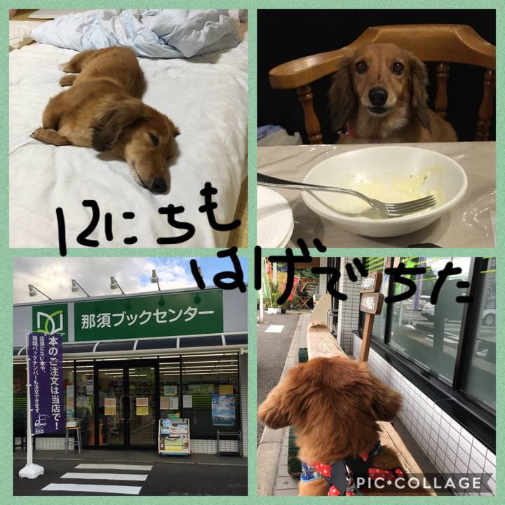 0b7d8eb4 5db4 4f0a a08b e092769ae78c 1534246412792