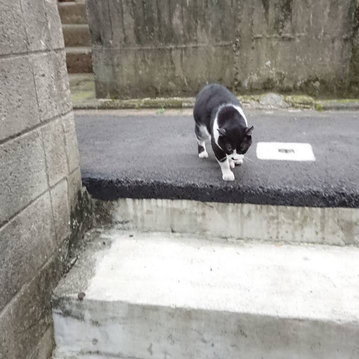 0b7dd6c1 b0e1 44d0 836b 1a44073a2534 1663238070287