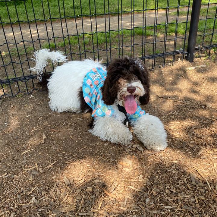 0b7e079c c168 4eaa 87be d13ae709167b 1618122047672