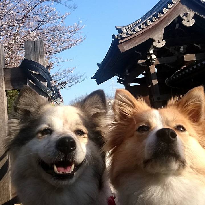 0b7e07c6 7bb8 464e b31e e12c8b004ba8 1521991086157