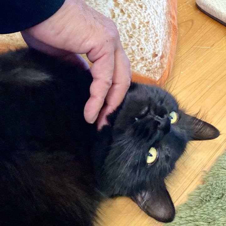 0b7e1506 afaa 4bc8 abb6 8b8d42951688 1762001413682