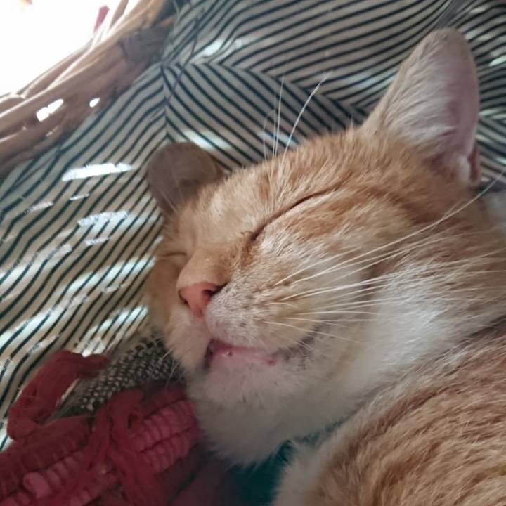 0b7e1993 08a1 4967 9f56 67eb57952f43 1568595183195