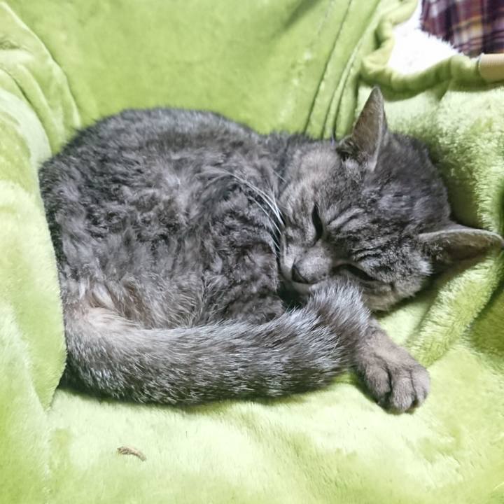 0b7e2cbd 1e29 4e77 930e 6dee6e4e1e5a 1582668096306