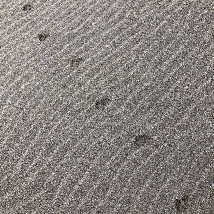 0b7ea08b 394b 461a bf4f 10edd6869dfc 1606950956145