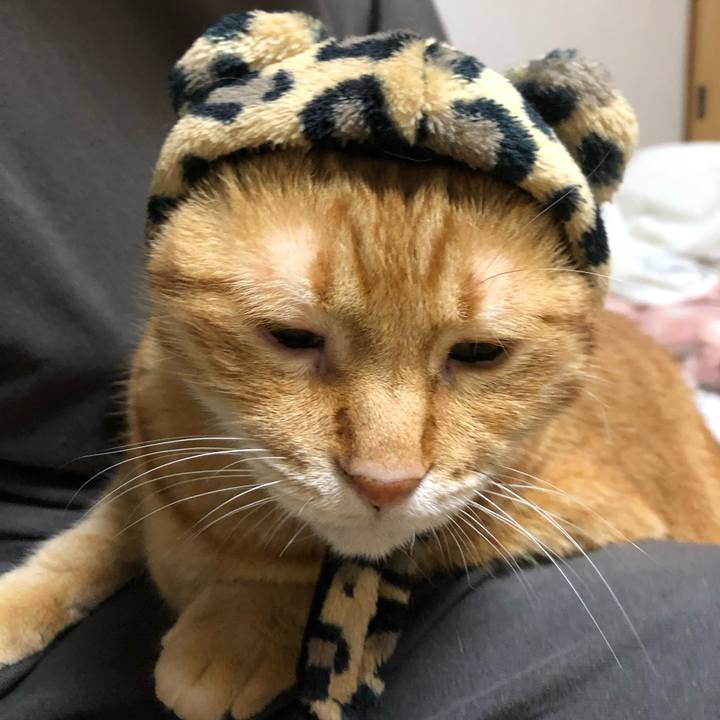 0b7ee883 f6de 4c76 9caf 3e170156c010 1652520572602