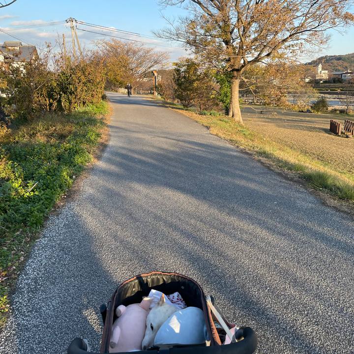 0b7eeae9 5f19 4eb5 b3bf 01f03665c2f8 1671553393550